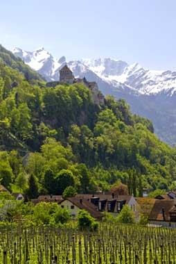 34-Steuer_14193664-k